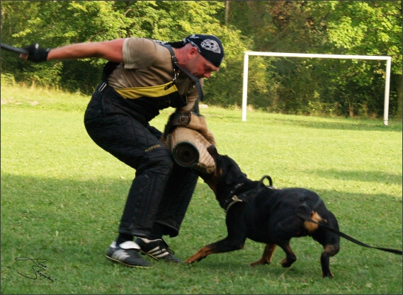 Summer training camp - Jelenec - 2007